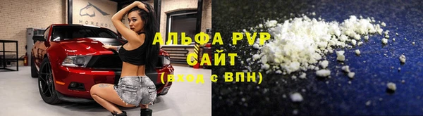 прущие крисы Белокуриха