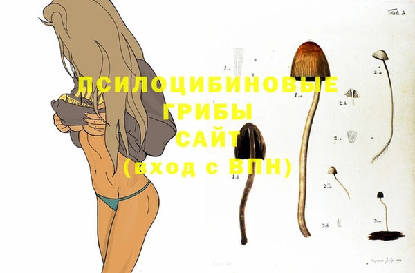 прущие крисы Белокуриха