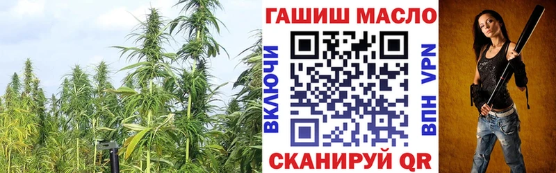 мега зеркало  Краснотурьинск  Дистиллят ТГК гашишное масло 
